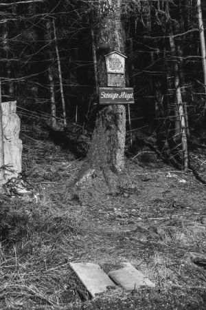 Baum mit Holztafeln bestückt; eine trägt den Titel