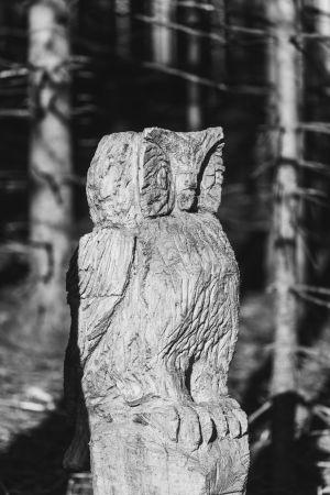 Portraitaufnahme einer Holzskulptur einer Eule